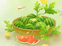 ChanCMS后台基本操作